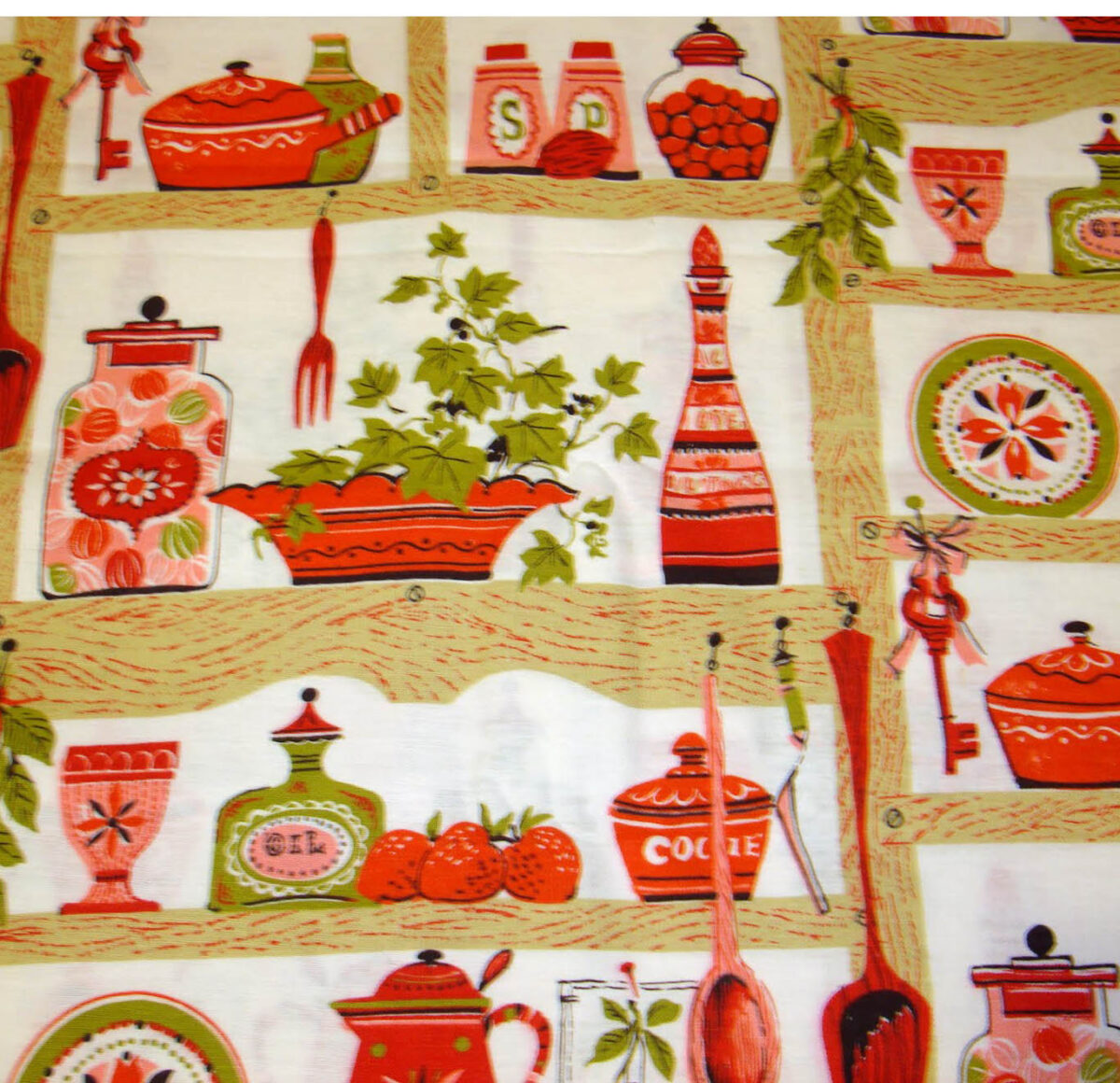 Well balanced Veg Diet