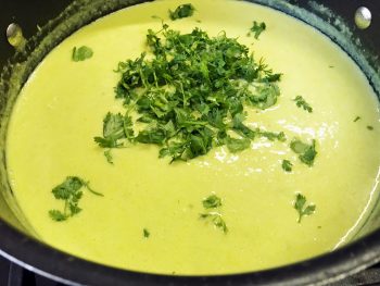 Permalink to: Spicy Buttermilk Gravy with Chayote Squash
