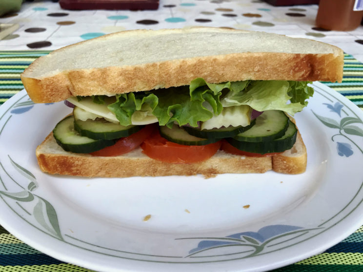 Easy Delicious Veggie Sandwich