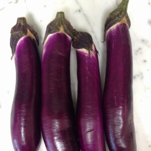 Japanese Eggplant