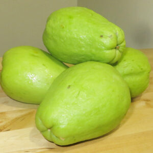 Chayote Squash
