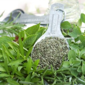 Marjoram