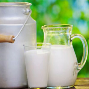 Dairy Milk