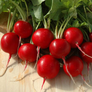 Red Radish