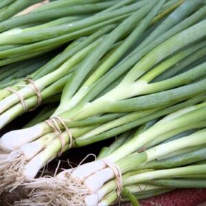 Scallions