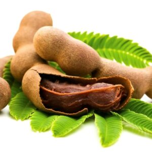 Fresh Tamarind with leaves