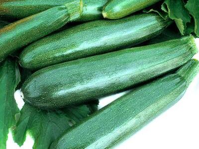 Zucchini Squash Zucchini Squash