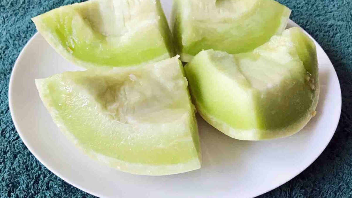 Fruit Nuts Medley Shake 1-SI, Melon Chunks