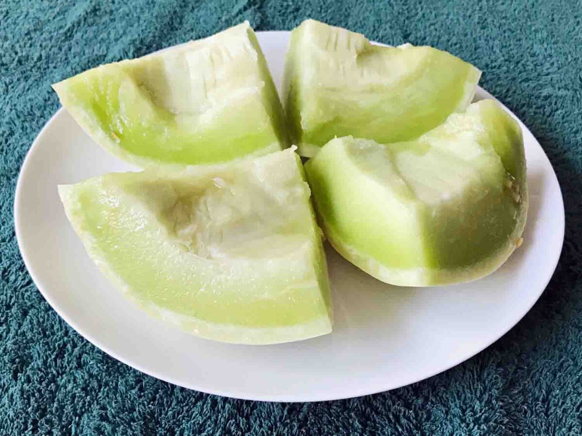 Fruit Nuts Medley Shake 1-SI, Melon Chunks