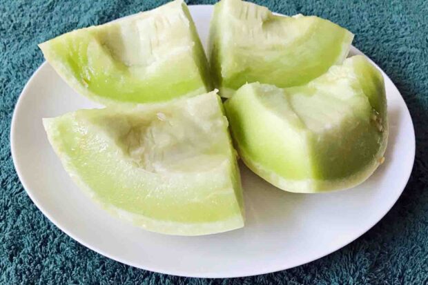 Fruit Nuts Medley Shake 1-SI, Melon Chunks