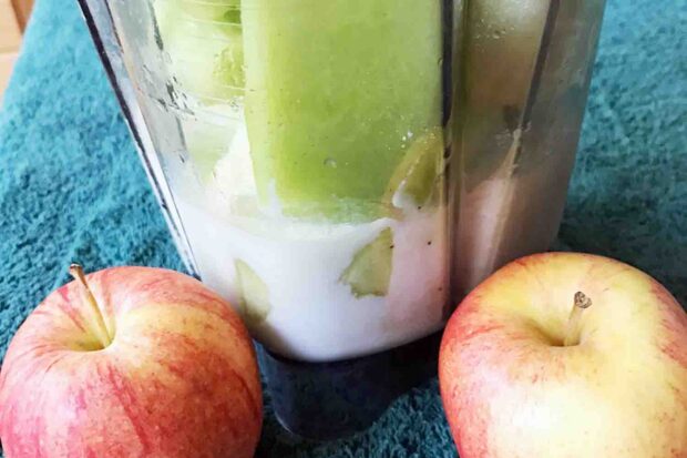 Fruit Nuts Medley Shake 4-SI
