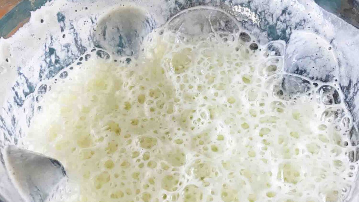 Fruit Nuts Medley Shake 5-SI