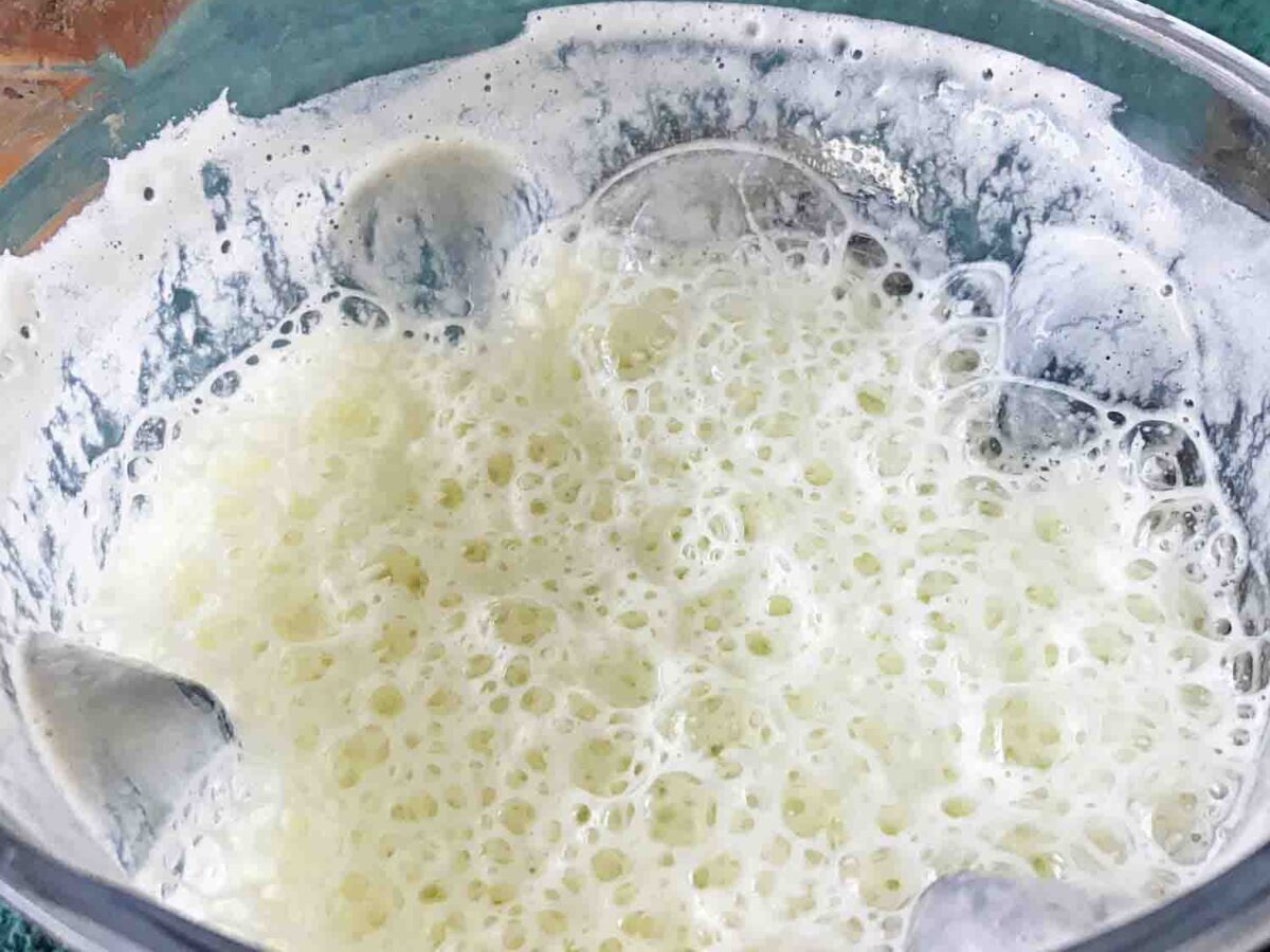 Fruit Nuts Medley Shake 5-SI