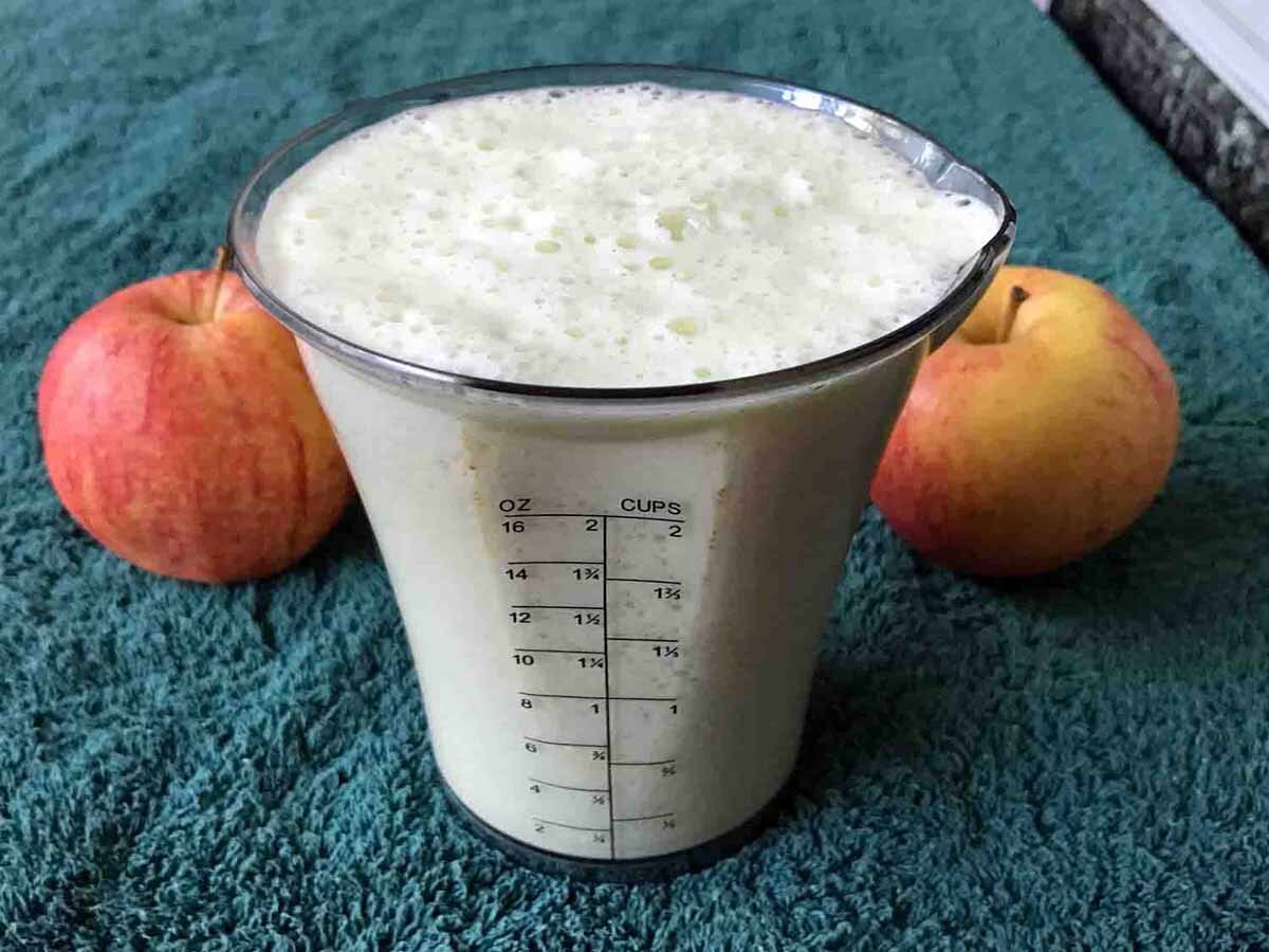Fruit Nuts Medley Shake - FI