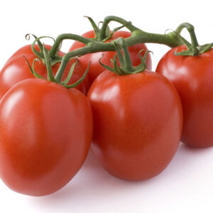 Tomatoes - Roma